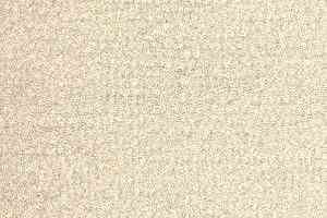 Ковролин Radici Oceania Agnello 2404 фото  | FLOORDEALER